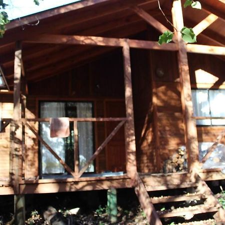 Cabana Bosque Viejo Villa Las Trancas Bagian luar foto