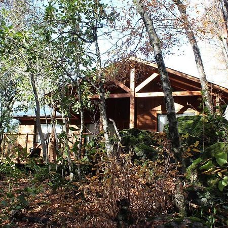 Cabana Bosque Viejo Villa Las Trancas Bagian luar foto