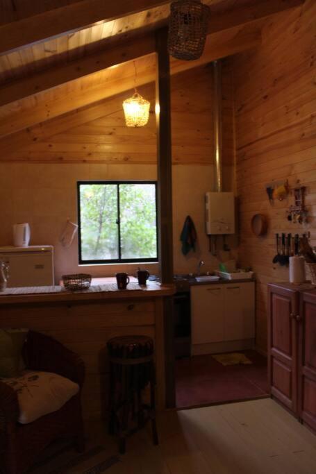 Cabana Bosque Viejo Villa Las Trancas Bagian luar foto