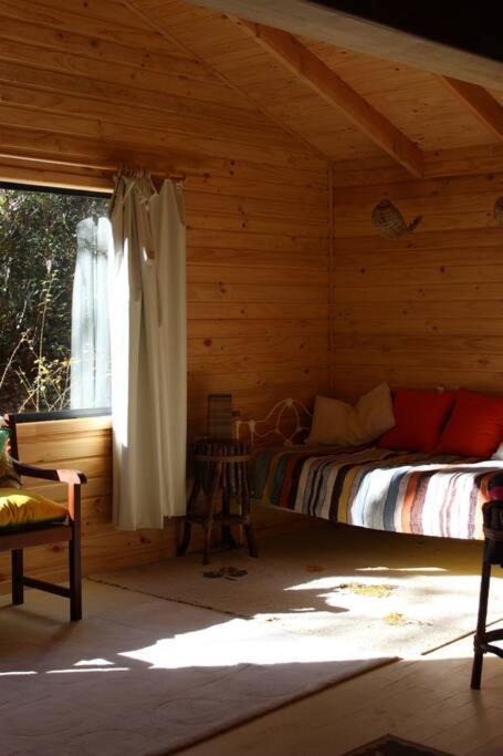 Cabana Bosque Viejo Villa Las Trancas Bagian luar foto