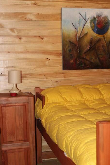 Cabana Bosque Viejo Villa Las Trancas Bagian luar foto