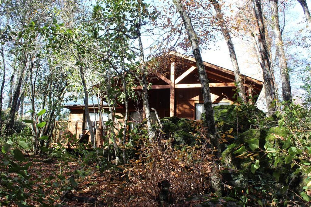 Cabana Bosque Viejo Villa Las Trancas Bagian luar foto