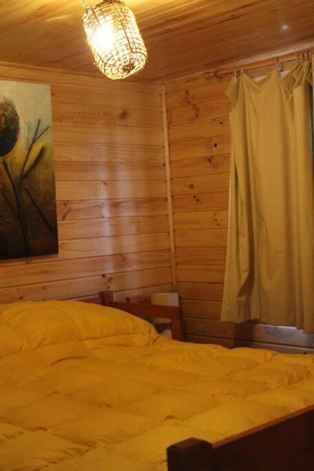 Cabana Bosque Viejo Villa Las Trancas Bagian luar foto